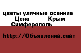 цветы уличные осенние  › Цена ­ 100 - Крым, Симферополь  »    